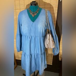 Given Kale denim dress